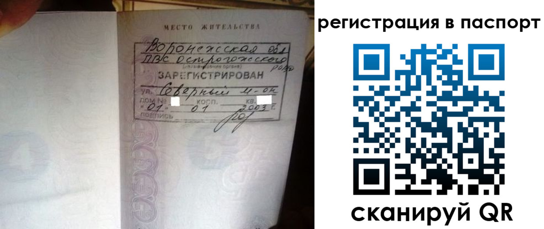 прописка для школы в Лосино-Петровском